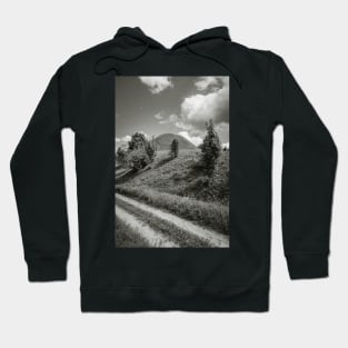 Road by the hill Hoodie